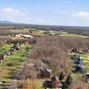 Photo #69 of 215 London Downs Drive, Forest, VA 0.6 acres