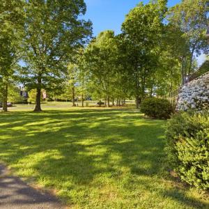 Photo #65 of 215 London Downs Drive, Forest, VA 0.6 acres