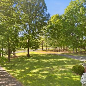 Photo #66 of 215 London Downs Drive, Forest, VA 0.6 acres