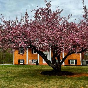 Photo #43 of 112 Hickory Way, Madison Heights, VA 0.6 acres