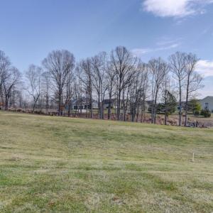 Photo #39 of 1052 8th Fairway Lane, Huddleston, VA 0.3 acres
