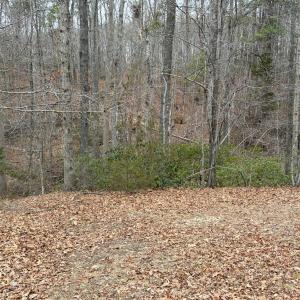 Photo #8 of 819 One Mile Road, Evington, VA 3.9 acres