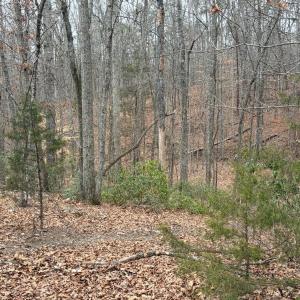 Photo #7 of 819 One Mile Road, Evington, VA 3.9 acres