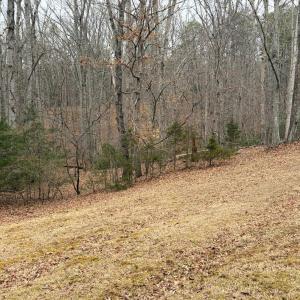 Photo #6 of 819 One Mile Road, Evington, VA 3.9 acres
