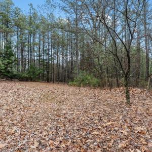 Photo #35 of 675 Pacoman Road, Evington, VA 2.3 acres