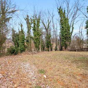 Photo #28 of 3220 Maryland Avenue, Lynchburg, VA 0.2 acres