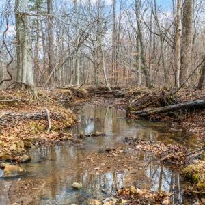 Photo #44 of 2080 Keys Church Road, Shipman, VA 26.2 acres