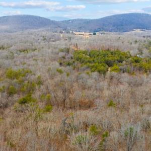 Photo #47 of 2080 Keys Church Road, Shipman, VA 26.2 acres