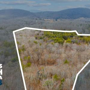 Photo #50 of 2080 Keys Church Road, Shipman, VA 26.2 acres