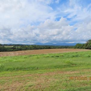 Photo #38 of 6485 Falling Creek Road, Bedford, VA 141.0 acres