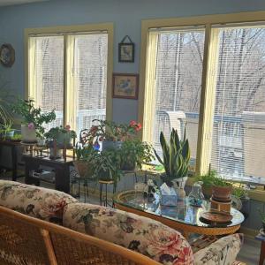 Sunroom with new LVP floors