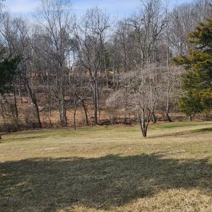 Beautiful gently sloped yard that horses would love!