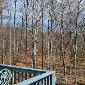 Photo #38 of 103 Glenn Haven Terrace, Goode, VA 10.9 acres