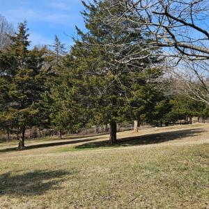 Photo #11 of 103 Glenn Haven Terrace, Goode, VA 10.9 acres