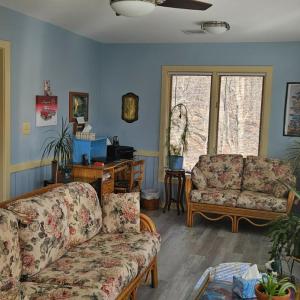 Photo #30 of 103 Glenn Haven Terrace, Goode, VA 10.9 acres