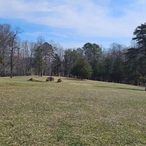 Yard with beautiful trees that would be perfect for horses.