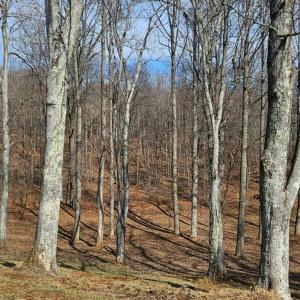Photo #81 of 103 Glenn Haven Terrace, Goode, VA 10.9 acres
