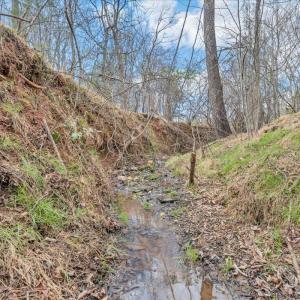 Photo #82 of 103 Glenn Haven Terrace, Goode, VA 10.9 acres