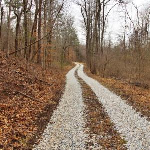 Photo #2 of 1740 Watt Abbitt Road, Appomattox, VA 7.3 acres