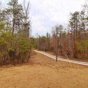 Photo #26 of 1740 Watt Abbitt Road, Appomattox, VA 7.3 acres