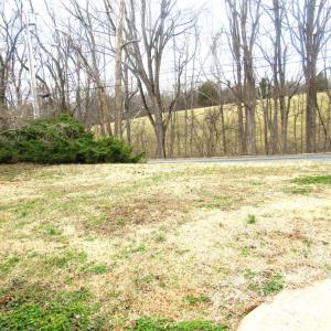Photo #26 of 207 Martins Lane, Madison Heights, VA 0.4 acres