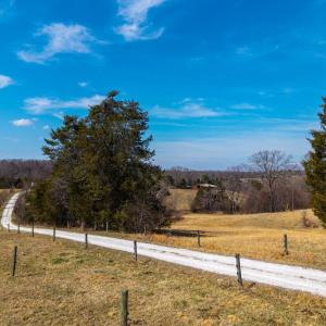 Photo #63 of 801 Purdum Mill Road, Appomattox, VA 28.3 acres