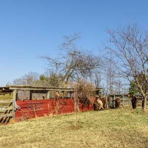 Photo #54 of 801 Purdum Mill Road, Appomattox, VA 28.3 acres