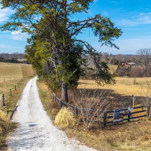 Photo #64 of 801 Purdum Mill Road, Appomattox, VA 28.3 acres