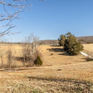 Photo #55 of 801 Purdum Mill Road, Appomattox, VA 28.3 acres