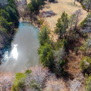 Photo #61 of 801 Purdum Mill Road, Appomattox, VA 28.3 acres