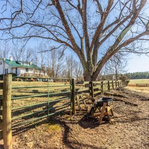 Photo #52 of 801 Purdum Mill Road, Appomattox, VA 28.3 acres