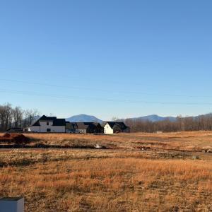 Photo #55 of 1100 Live Oak Court, Forest, VA 0.5 acres