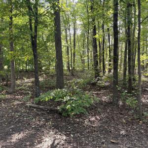 Photo #32 of 12668 Patrick Henry Hwy, Brookneal, VA 4.0 acres