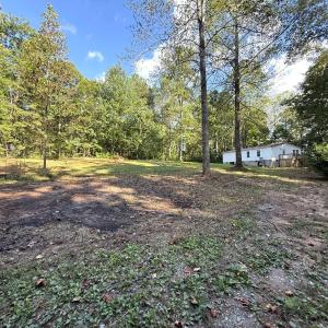 Photo #49 of 12668 Patrick Henry Hwy, Brookneal, VA 4.0 acres