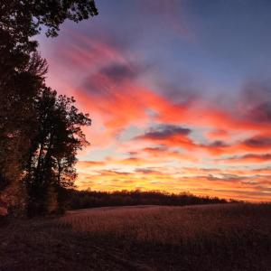 Photo #36 of 12668 Patrick Henry Hwy, Brookneal, VA 4.0 acres