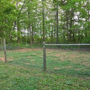 Photo #27 of 12668 Patrick Henry Hwy, Brookneal, VA 4.0 acres