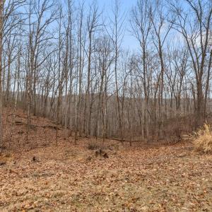 Photo #56 of 1132 James view Drive, Lynchburg, VA 3.1 acres