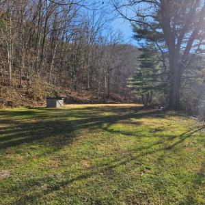 Photo #3 of 222 Cove Mountain Lane, Buchanan, VA 2.1 acres