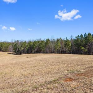 Photo #58 of 1433 Piney Mountain Road, Appomattox, VA 21.8 acres