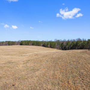 Photo #56 of 1433 Piney Mountain Road, Appomattox, VA 21.8 acres