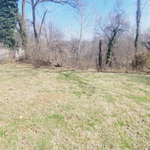 Photo #5 of 58 Federal Street, Lynchburg, VA 0.1 acres