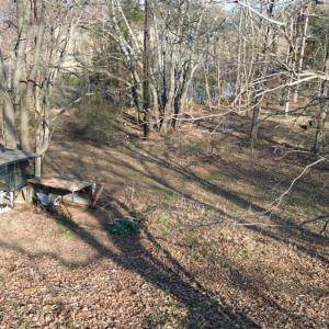 Photo #22 of 182 Shelter Ln, Amherst, VA 0.8 acres