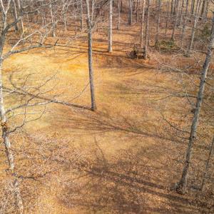 Photo #75 of 1397 Smoketree Drive, Forest, VA 2.0 acres