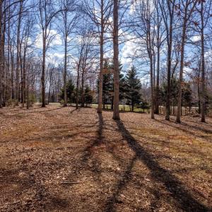 Photo #74 of 1397 Smoketree Drive, Forest, VA 2.0 acres