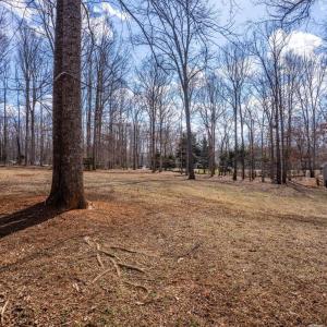 Photo #71 of 1397 Smoketree Drive, Forest, VA 2.0 acres