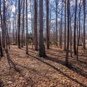 Photo #73 of 1397 Smoketree Drive, Forest, VA 2.0 acres