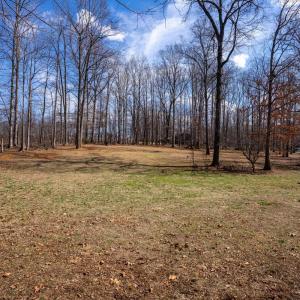 Photo #68 of 1397 Smoketree Drive, Forest, VA 2.0 acres
