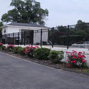 Photo #20 of 1350 Country Estates Drive, Lowry, VA 26.4 acres