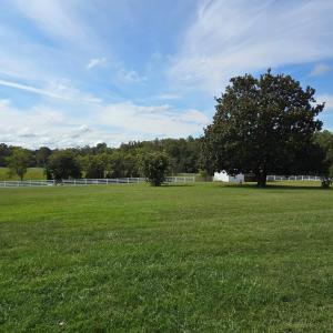 Photo #3 of 1350 Country Estates Drive, Lowry, VA 26.4 acres