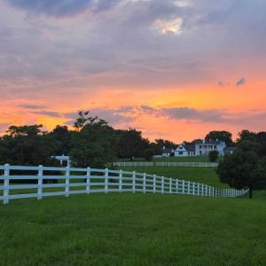 Photo #1 of 1350 Country Estates Drive, Lowry, VA 24.0 acres